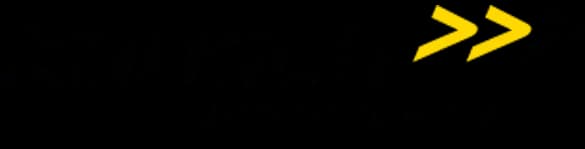 Kapsch Logo